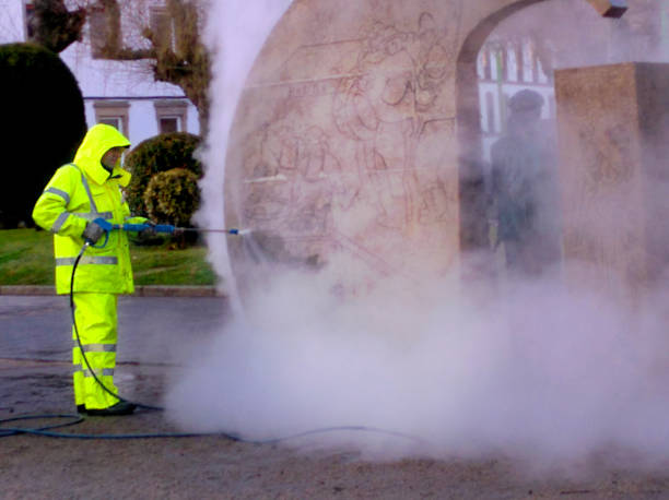 Best Roof Pressure Washing  in Bridgeville, PA