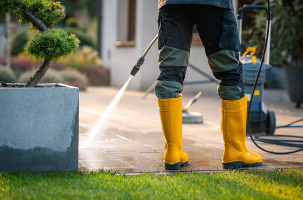 Best Pressure Washing Near Me  in Bridgeville, PA